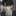 주연준