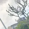 Profile image of オクタヴィネル寮