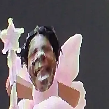 Profile image of 여우