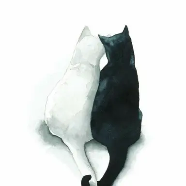 Profile image of Mizi And Kamo