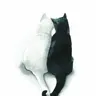 Profile image of Mizi And Kamo