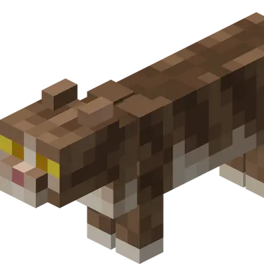 Profile image of 고양이