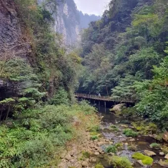 123481046737의 산에서 급똥