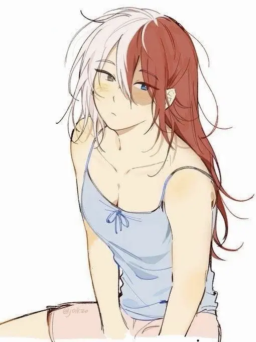 sjdjdjsjdjsjdfhirodkcncfuiskxj의 MHA — !FEM!Shoto Todoroki