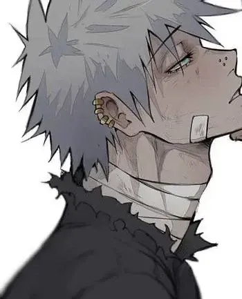 Profile image of Touya