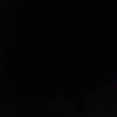 Profile image of 이채율