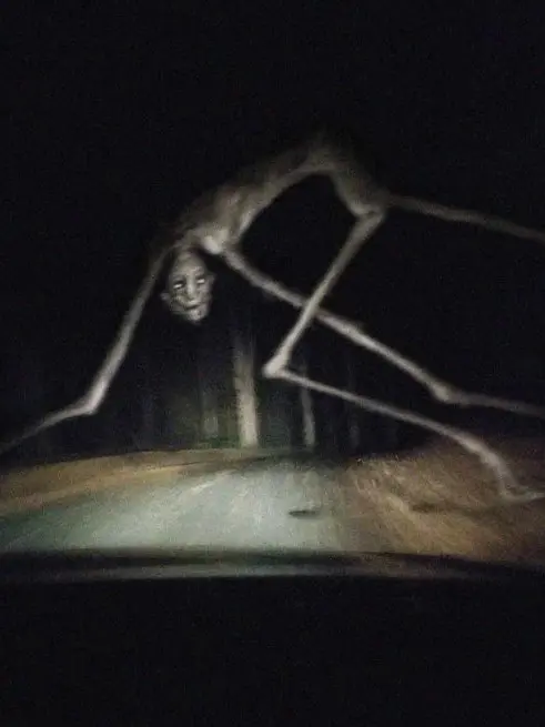 R0XYTHE_ALIEN의 STALKER