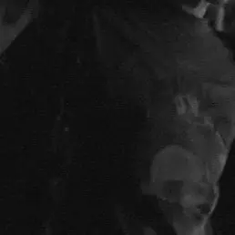 Profile image of 한태훈