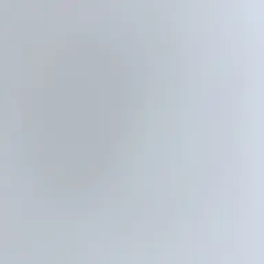 Profile image of 벨키