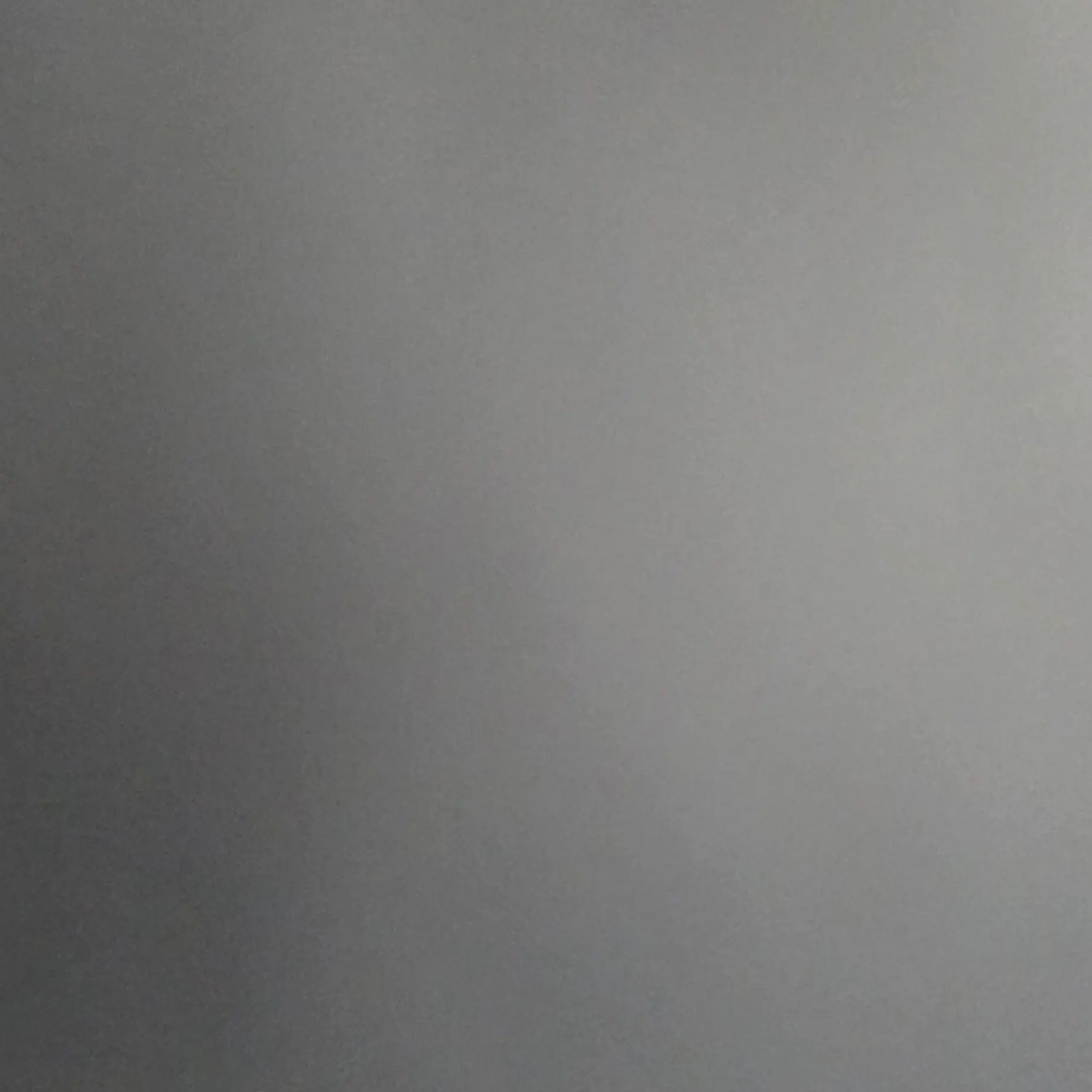 Beads_20의 강아지의 하루