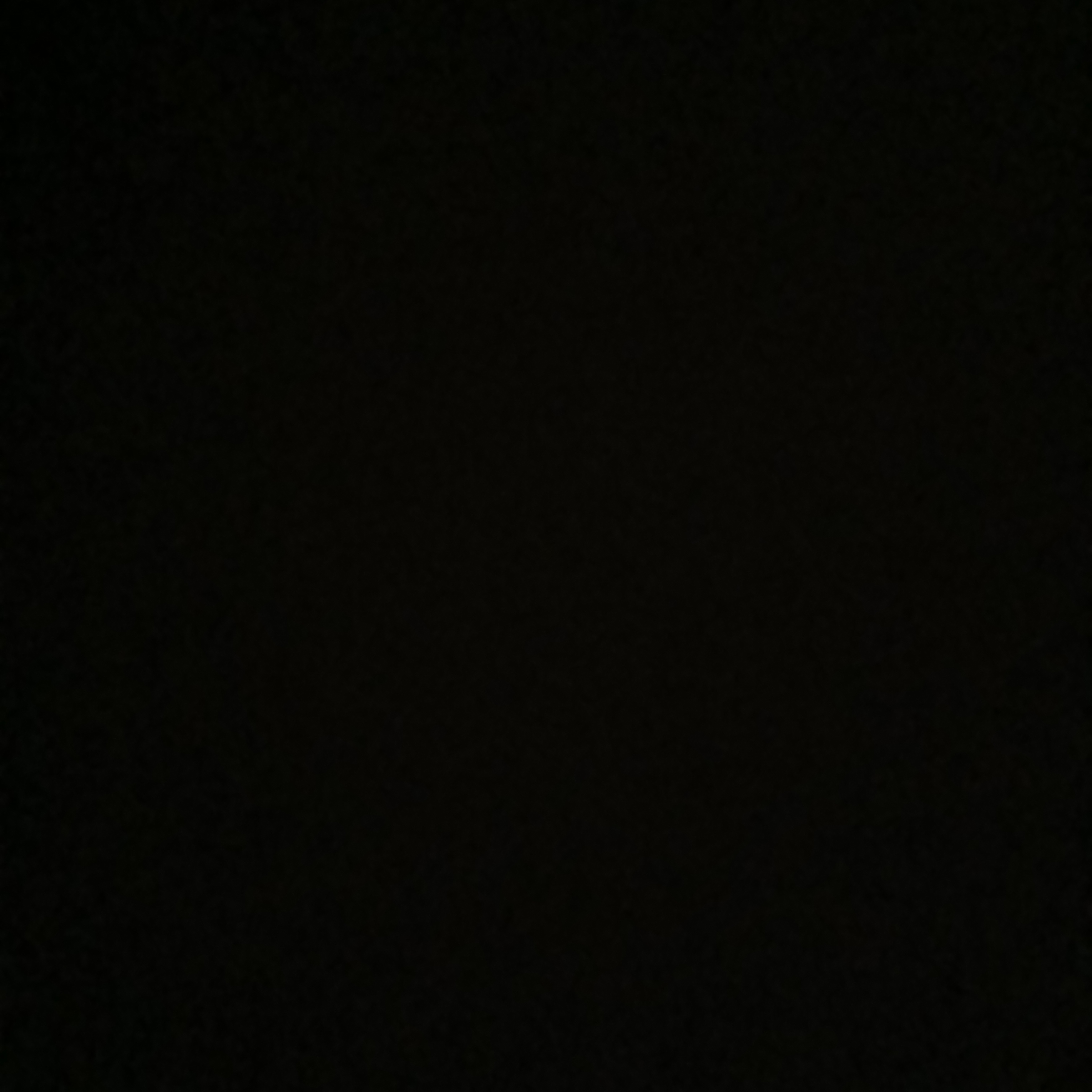 신규리 대표 이미지