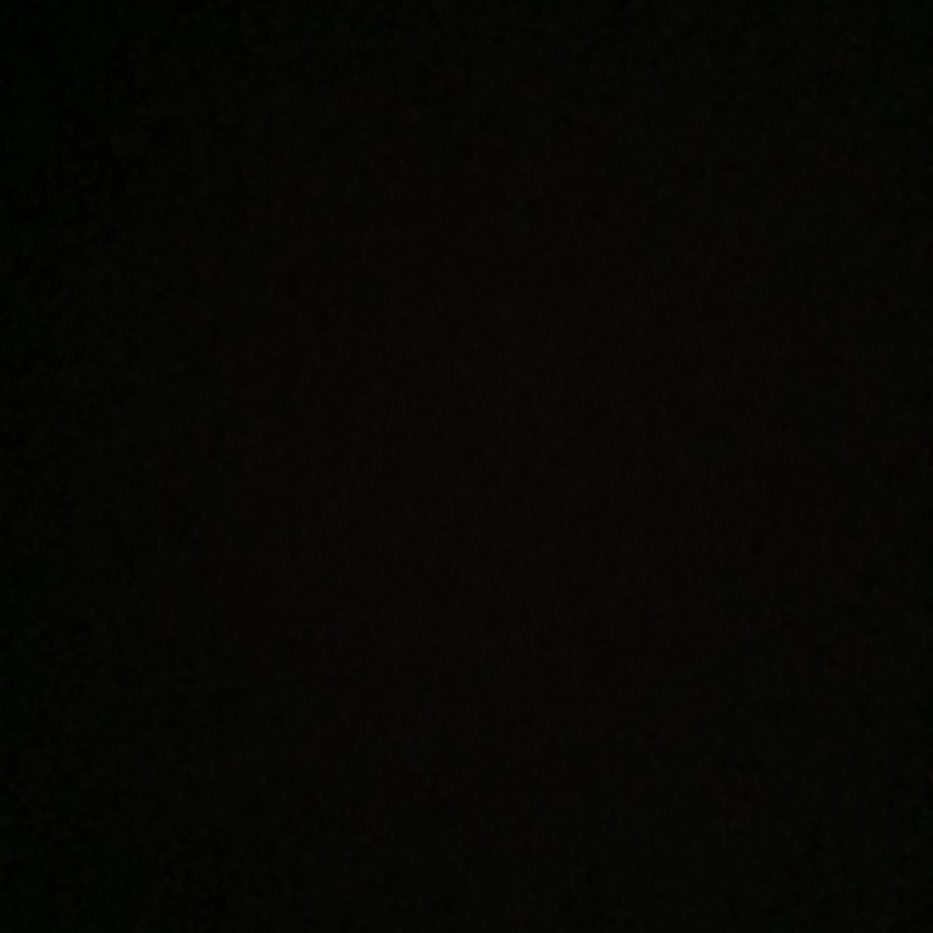정은조