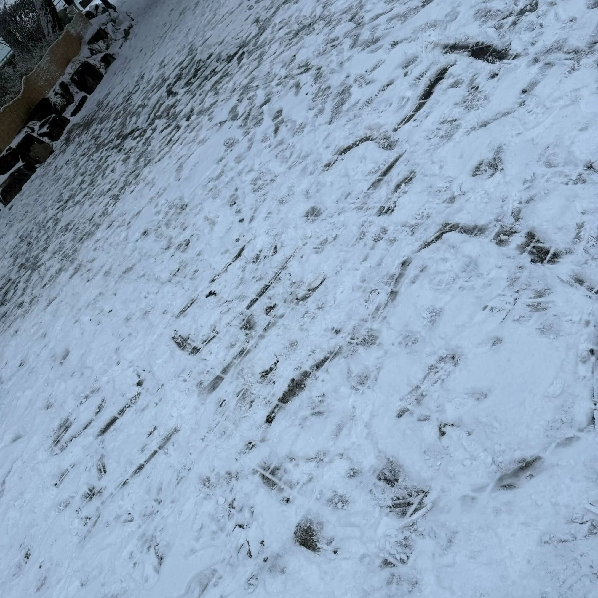 Lh102021의 ㄱㅇㅎ