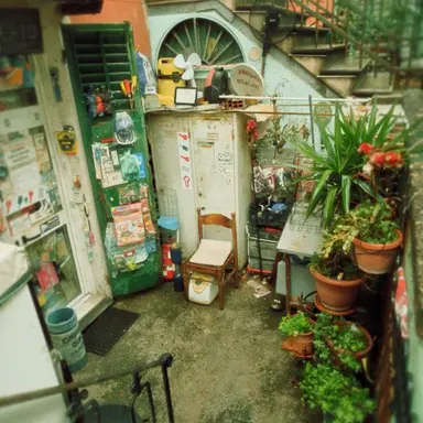 Profile image of 정공룡