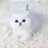 종이