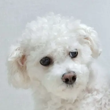 Profile image of 남학생들