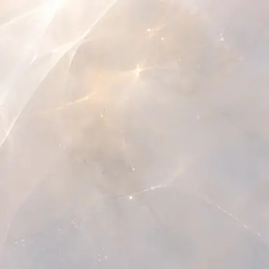Profile image of 알트