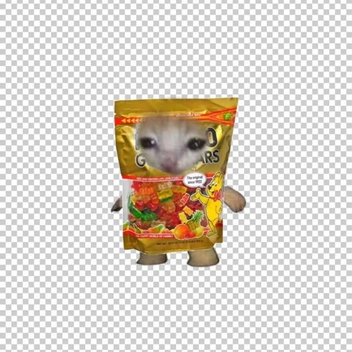 하리보