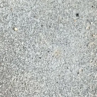 Profile image of 5人