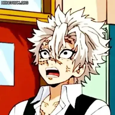 Profile image of 시나즈가와 사네미