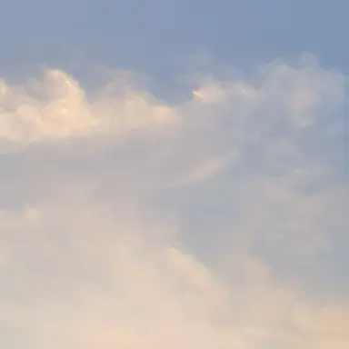 Profile image of 조용진