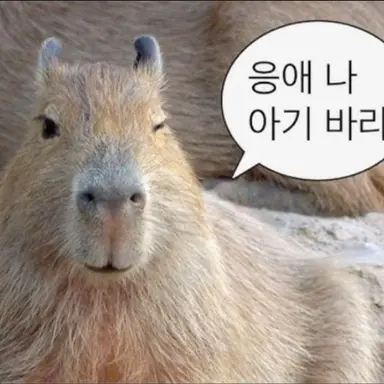 Profile image of 수바
