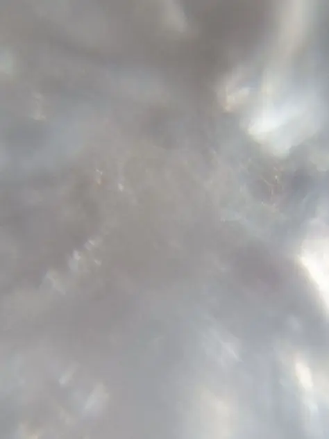 osigatoutoilove___의 獣人