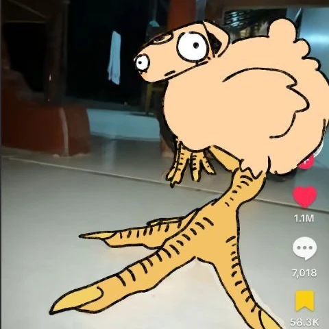 쉘리