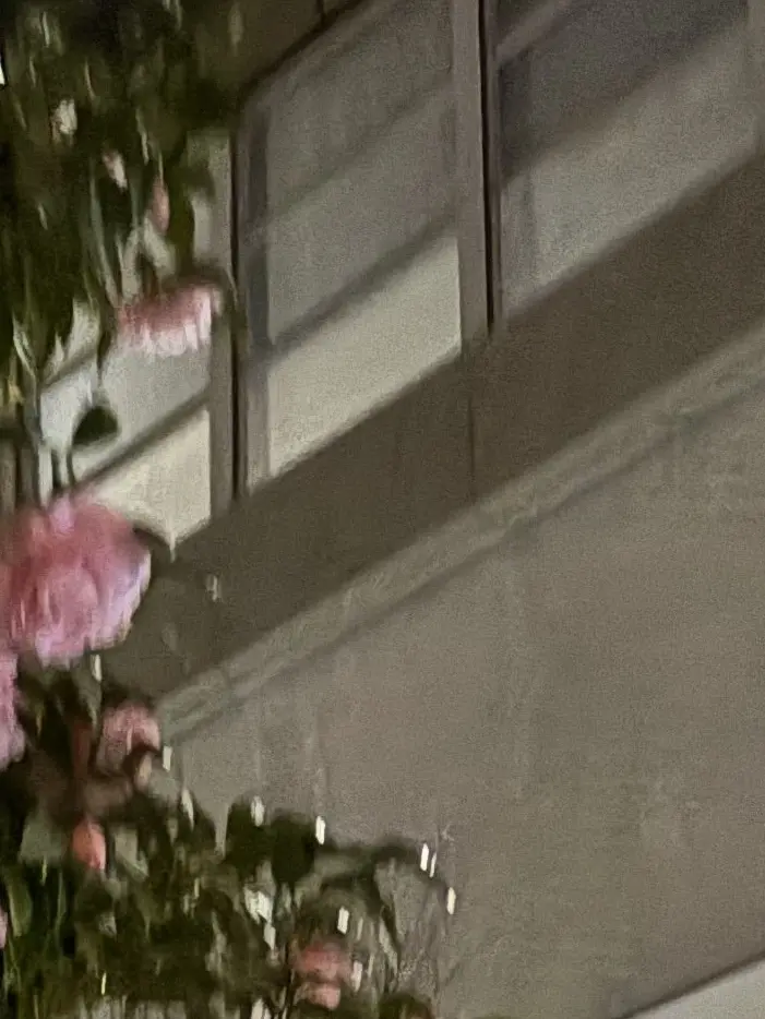 kana.25.25의 転校生が来た！？