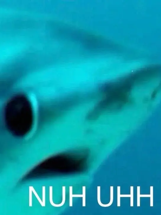 bangtanforever2006의 Wave Shark