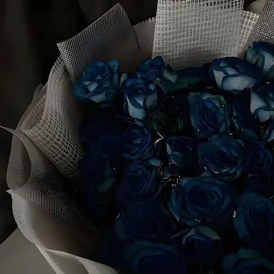 Profile image of 시미베