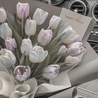 Profile image of 티푸