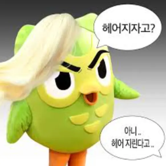 PotentDesk4237의 듀오링고