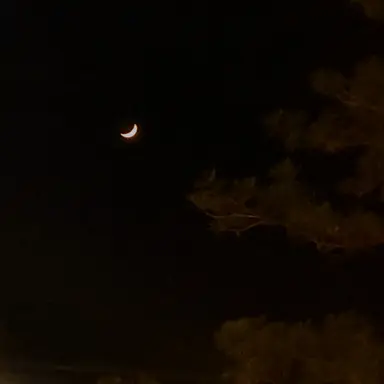 Profile image of 子