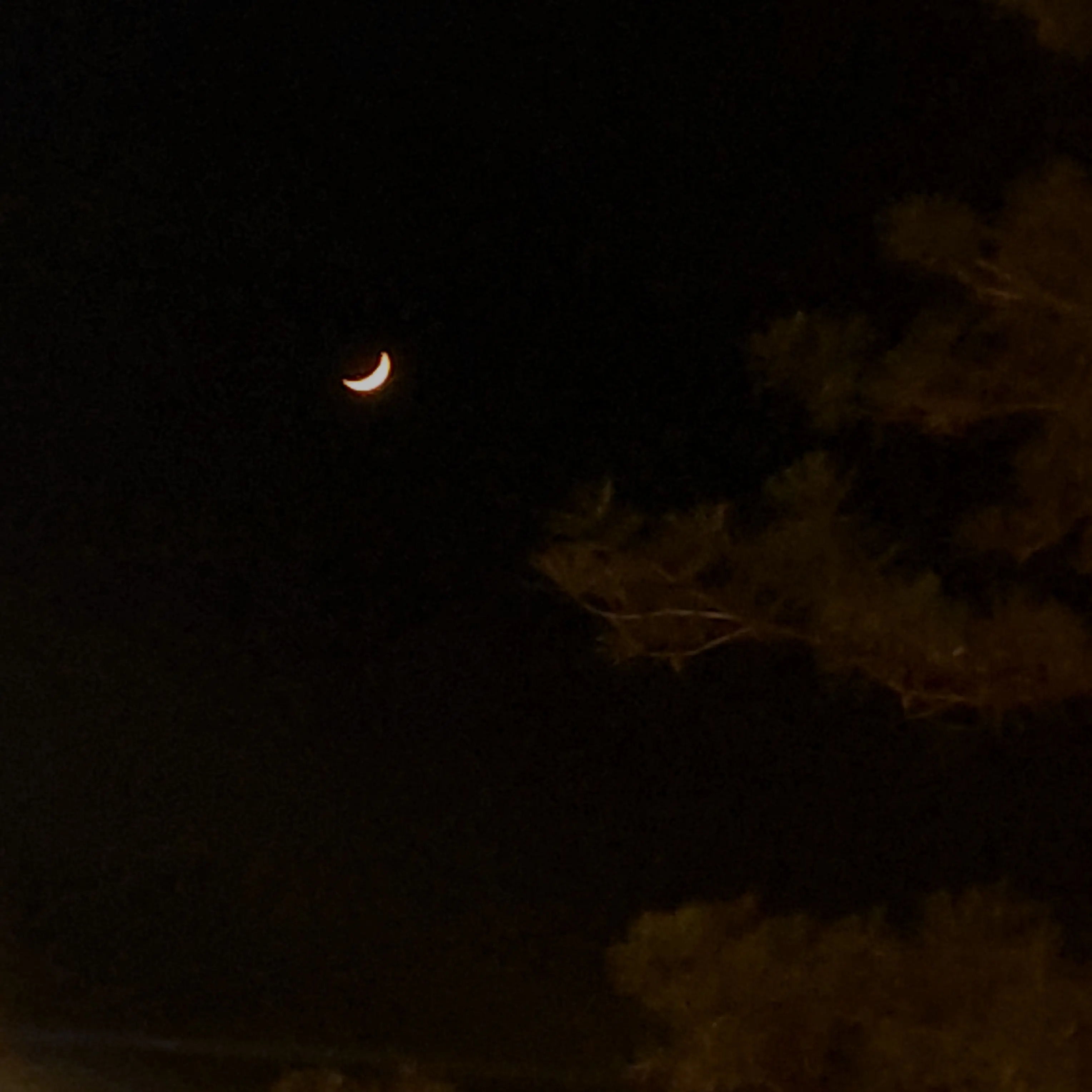 Cgy0210의 다음생에서도 당신을 찾겠습니다.