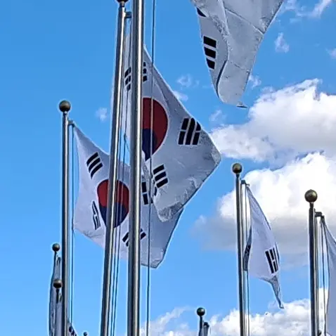 IdleHorgi3533의 잉여특공대