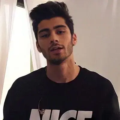 BarrenKnob2900의 Zayn Malik