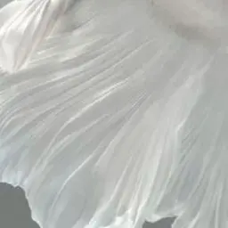 Profile image of 7대 주선