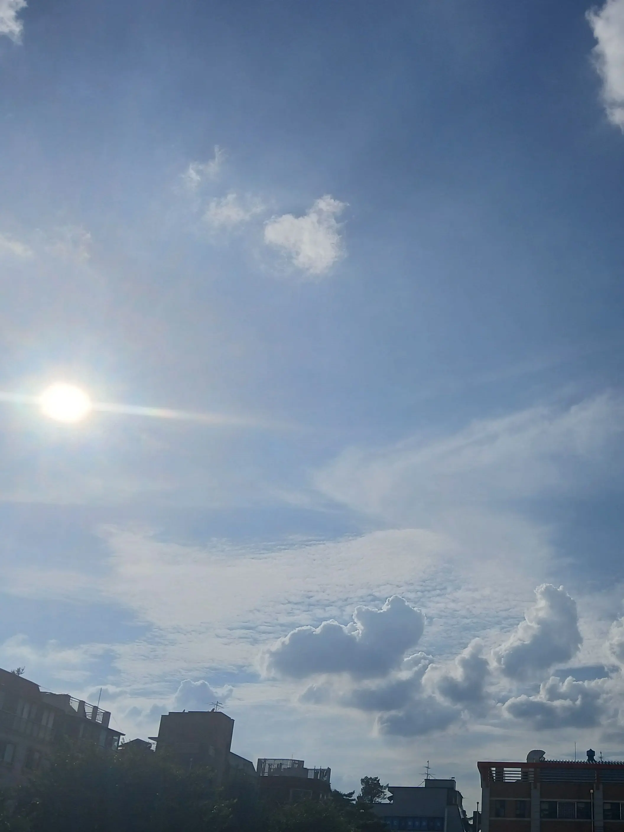 ist_fp의 바보 네 명.