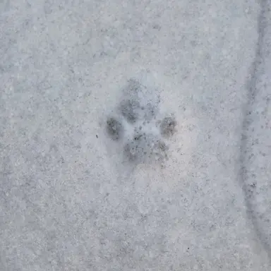 Profile image of 아이자와 쇼타