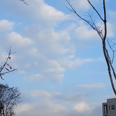 Profile image of 시라쿠모 오보로