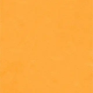 Profile image of 宇佐美リト