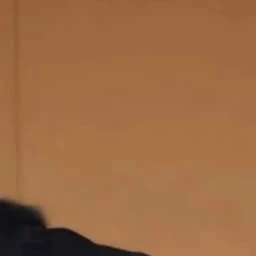 大森元貴