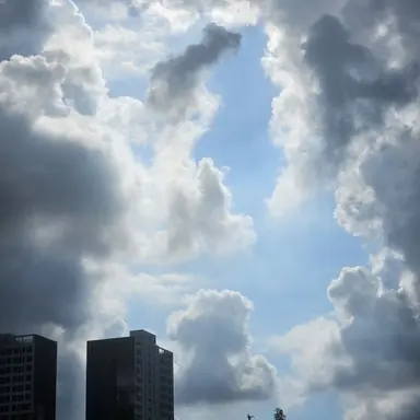 Profile image of 아린