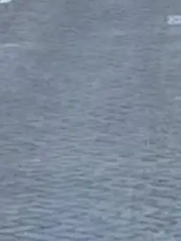 HighTent5425의 김승민