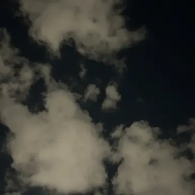 Profile image of 즈하오