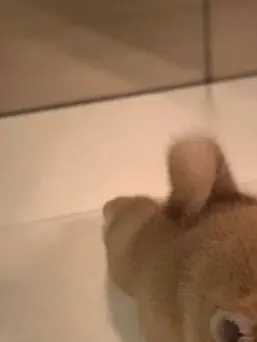 BlandTetra8819의 いつまでここにいる気、！？