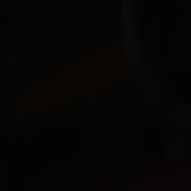 Profile image of 신