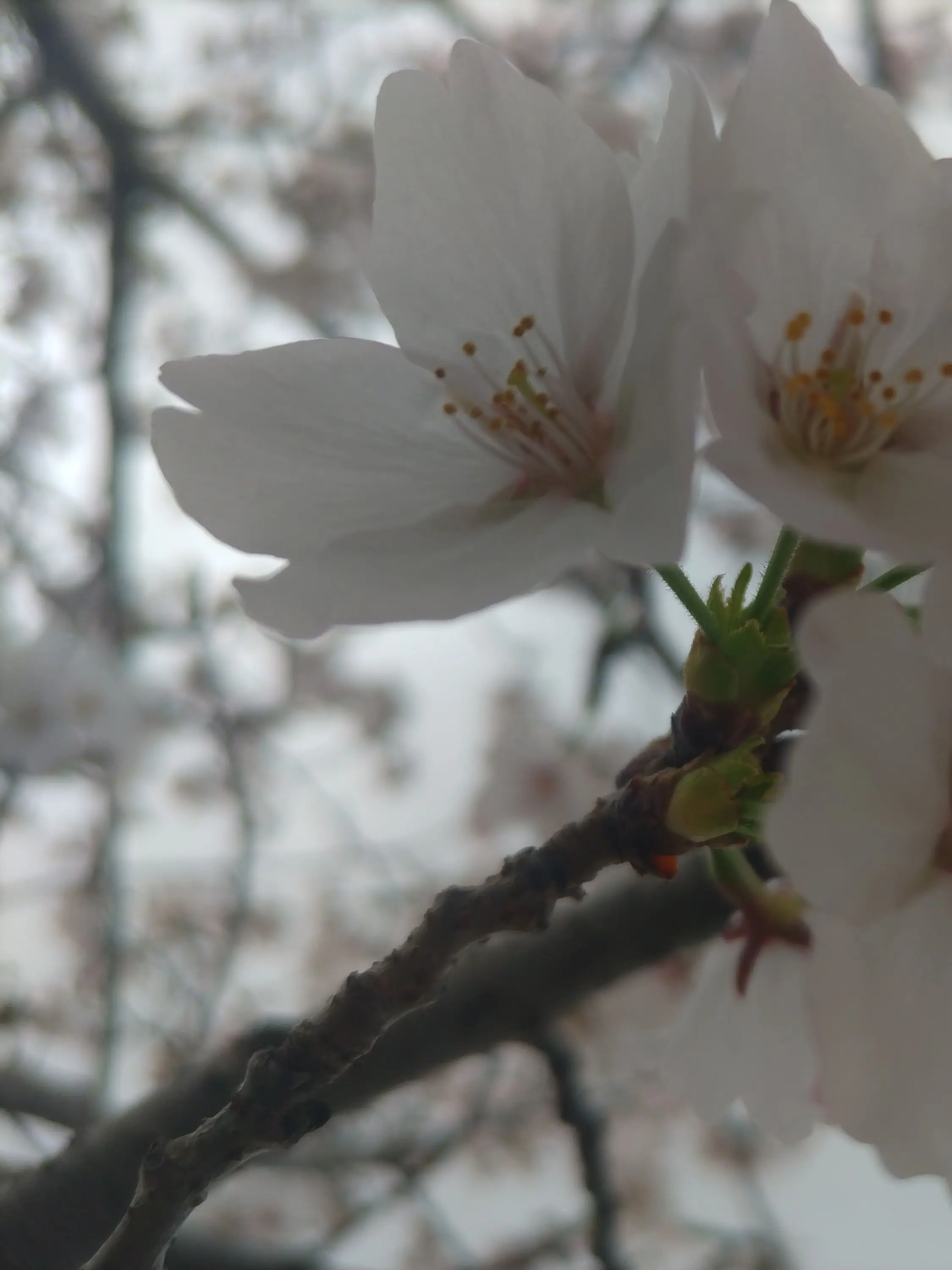 Otaku4의 バカ四人を注意する！