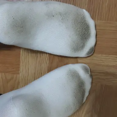 Profile image of 수진